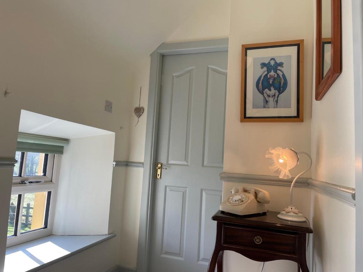 Mai'S Cottage Suite - Charming Holiday Rental Kilmallock エクステリア 写真